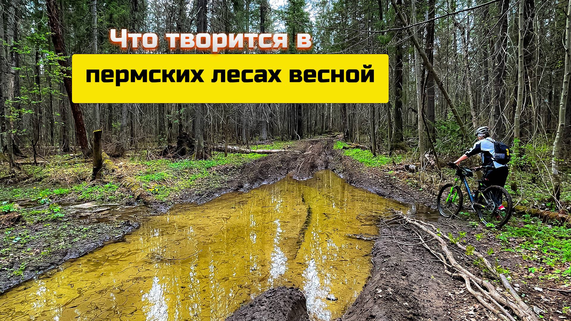 Однажды в мае I Следы диких зверей I Река через бревно I Встреча с джипами