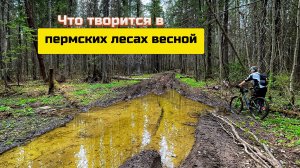 Однажды в мае I Следы диких зверей I Река через бревно I Встреча с джипами