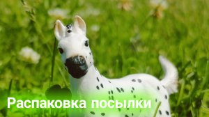 Распаковку посылки от канала ЛОШАДИ ЭТО ЧУДО!