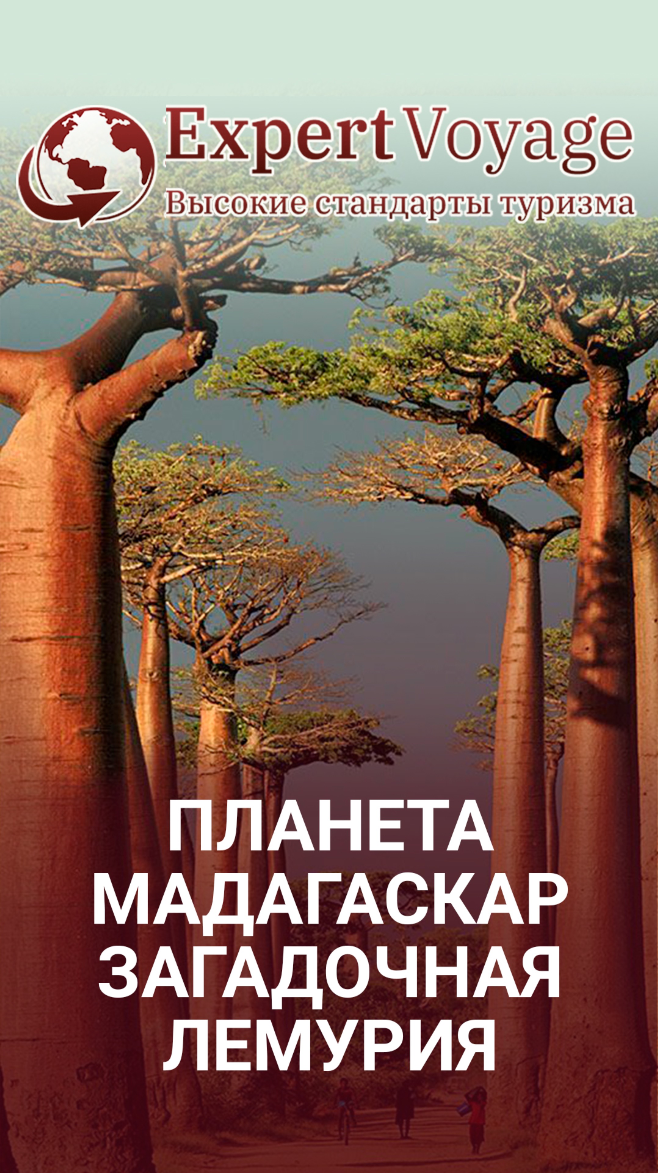 Планета Мадагаскар: Загадочная Лемурия , Аллея Баобабов, Каменный Лес — чудеса природы #Мадагаскар