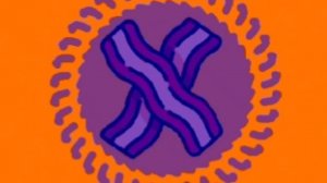 гимн роблокса