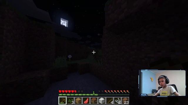 Minecraft но мы можем превращатся в мобов