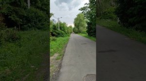 Мой путь к Дороге здоровья