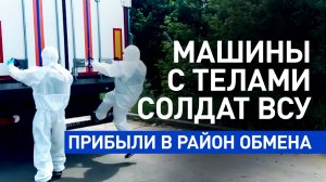 «Готовы передать тела»: Зорин — о прибытии рефрижераторов с погибшими солдатами ВСУ в район обмена