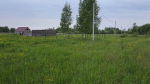 Территория вокруг, Сольцы 1824 кв.м