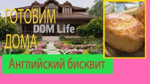 Английский бисквит в домашних условиях — пошаговый рецепт для идеального чаепития