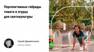 🏃 Перспективные гибриды томата, огурца для светокультуры. Профессиональные семена для теплиц России