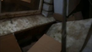 "Мой Садовод" ИП Жиглов - Крым. Аферисты!!! Рассада ч.1