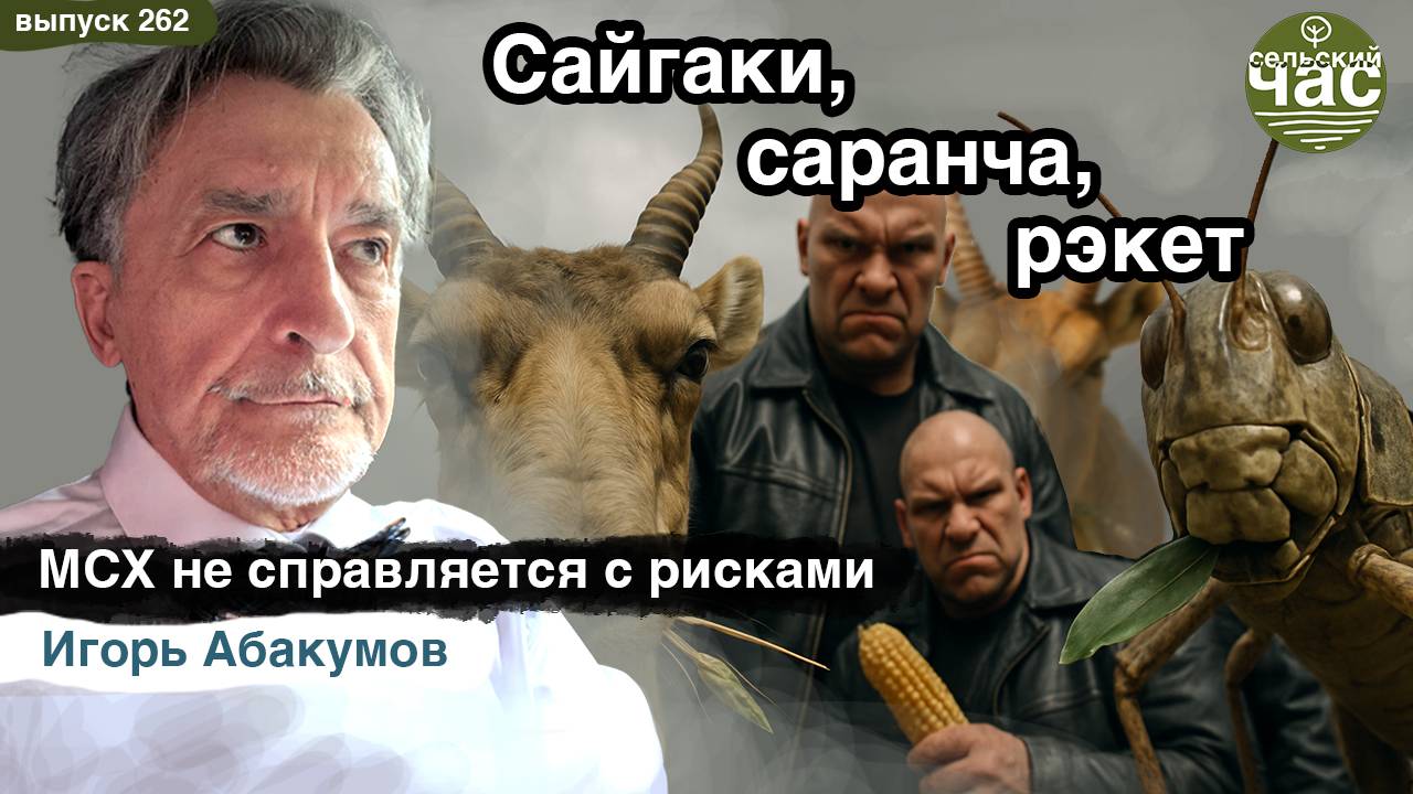 Сайгаки, саранча, рэкет. Сельский час #262