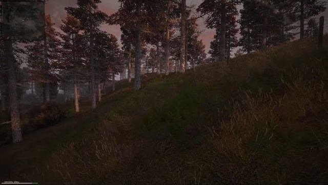 S.T.A.L.K.E.R. - Голый Бюрер в Лесу Lost Alpha DC 1.4008 Extended №77 смотреть онлайн