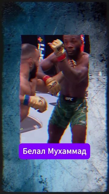 Официально! Белал Мухаммад Шавкат Рахмонов UFC 310 смотреть онлайн