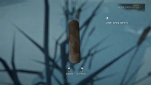 100 дней на локации/Одинокая топь/14 серия/The Long Dark/By STRELOK