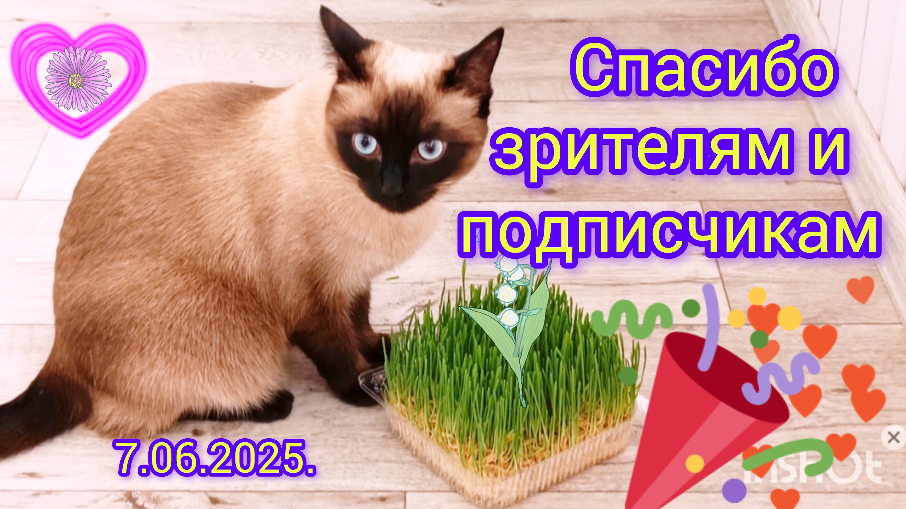 Доброе☀️🌧️утро🐱Спасибо💕подписчикам и зрителям # влогикаждыйдень #жизнь инвалида #поговорим