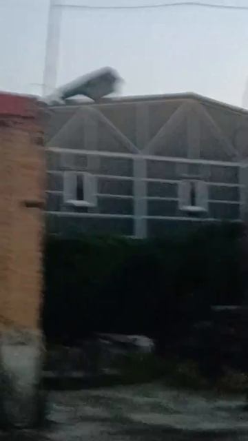 Харьков с утра разбирают "Герани" смотреть онлайн