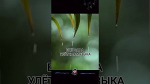 Очень красивая музыка 2025