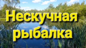 Нескучная рыбалка.