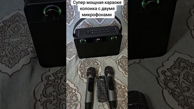 Супер мощная караоке колонка с двумя микрофонами смотреть онлайн