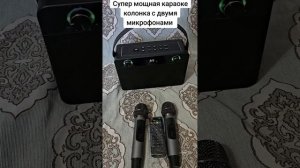 Супер мощная караоке колонка с двумя микрофонами