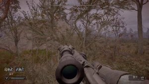 S T A L K E R  2  Локация Изумрудное артефакт ночная звезда.