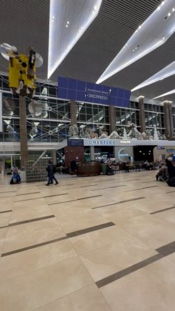 Аэропорт Красноярск им. Хворостовского 24.12.24 ✈️