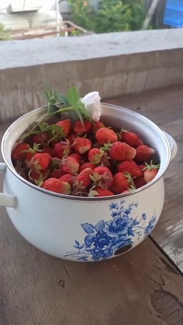 Кто вплотную занимается животными. А кто - паралельно вот такой красотой успевает..