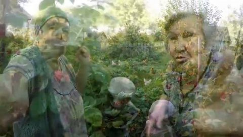 ЯНА ЗАБИРИ ЕГО