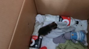 Начинаем новый день