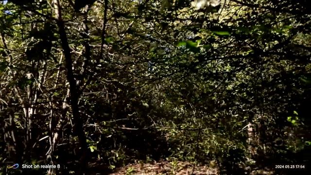 На берегу реки  Урала , среди Уральских гор 😍 смотреть онлайн