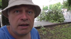 Я в сквере Гуртьева. На дороге большая ветка от дерева