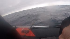 GOPR2888