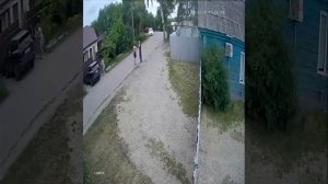 Собака вырвала ребёнка из рук матери и покалечила — в Пензе разыскивают владельцев бойцовского пса
