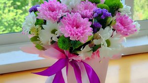 Прогулка, вязание, концерт.