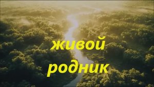 живой родник