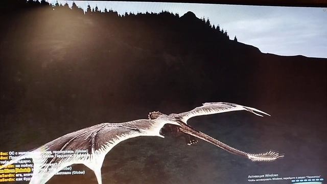 Day of Dragons: очередное сообщение по игре смотреть онлайн