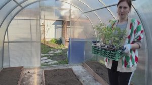 НАКОНЕЦ ТО НАЧАЛОСЬ