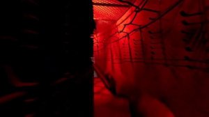 Сталкер 2:Воспоминание доктора Б .Кайманова (болотный ?