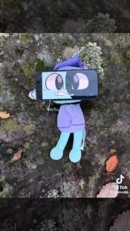 VID-20250607-WA0368.mp4