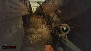 STALKER 2 // Два крутых ствола для решения всех проблем в Зо