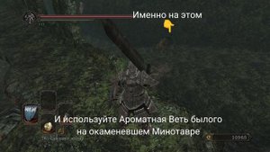 Гайд где найти лучшую катану в Dark Souls II