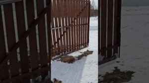 установка комплекта распашных ворот