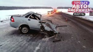 Ёлы Палы! Как так то Торопыги Зимний Сезон