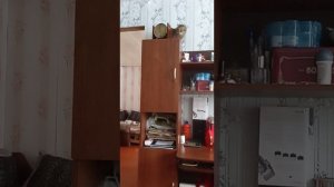 Прыжок наверх