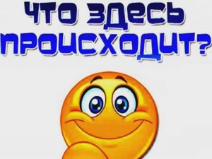 ЧТО ЗДЕСЬ ПРОИСХОДИТ