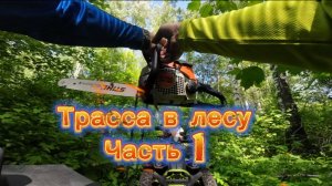 Проложили трассу в лесу