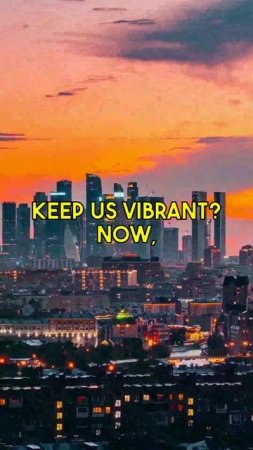 How does city design impact how long you live? Discover the surprising link between urban...