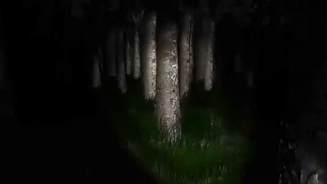 ОДИНОКИЙ МУЖИК ХОЧЕТ ВНИМАНИЯ | ОБЗОР SLENDERMAN EIGHT PAGES смотреть онлайн