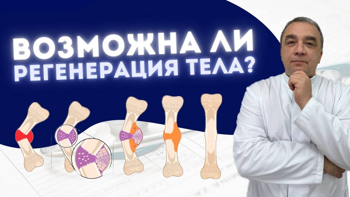 РЕГЕНЕРАЦИЯ ТЕЛА: ВОЗМОЖНА ЛИ?