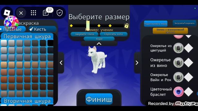 проверяю коды в котах воителях смотреть онлайн