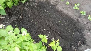 1 июня, сьемка перед отъездом в город