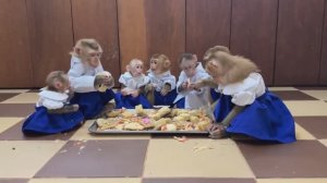 Обезьянки фрукты едят Как правильно кормить и не РАССМЕЯТЬСЯ Домашняя комедия